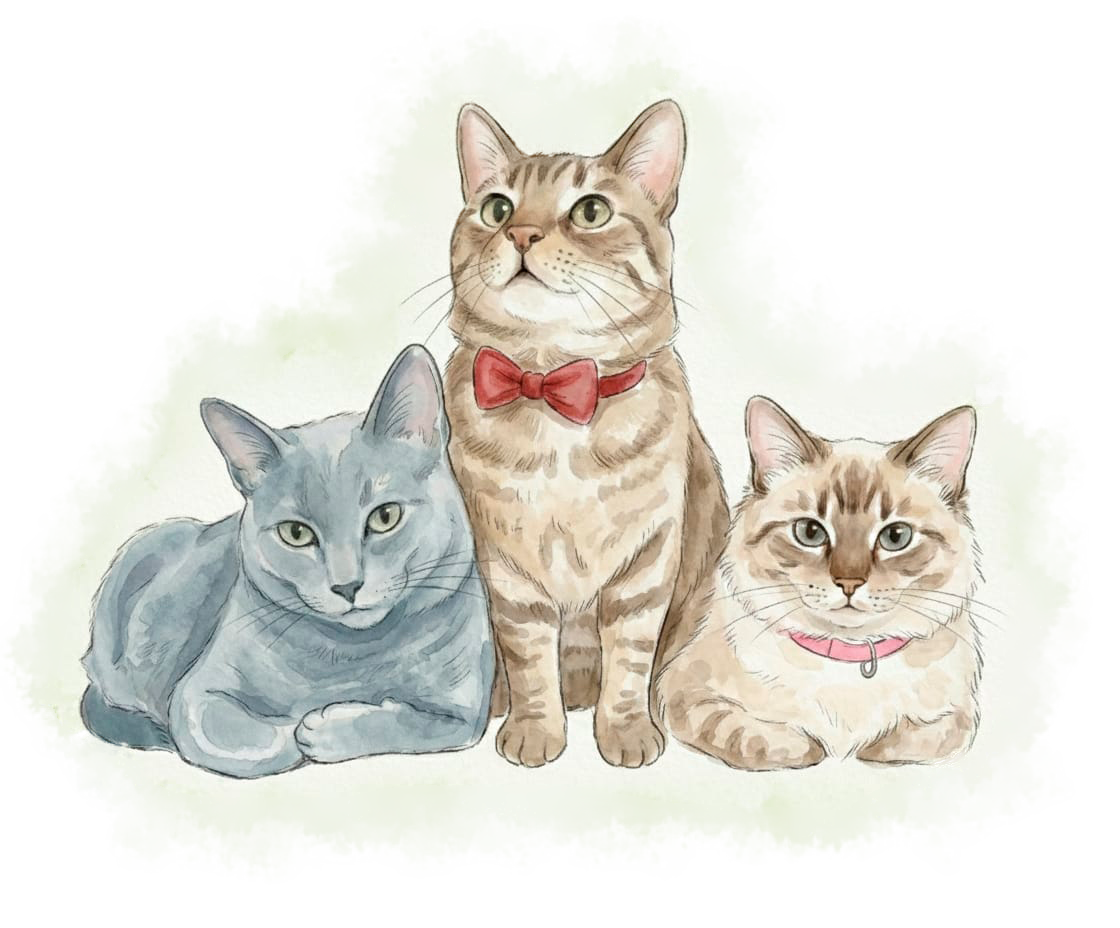 Portales - Recepción